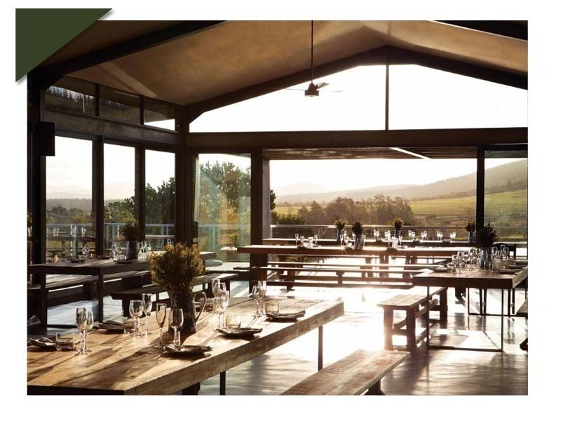 Wine Farm