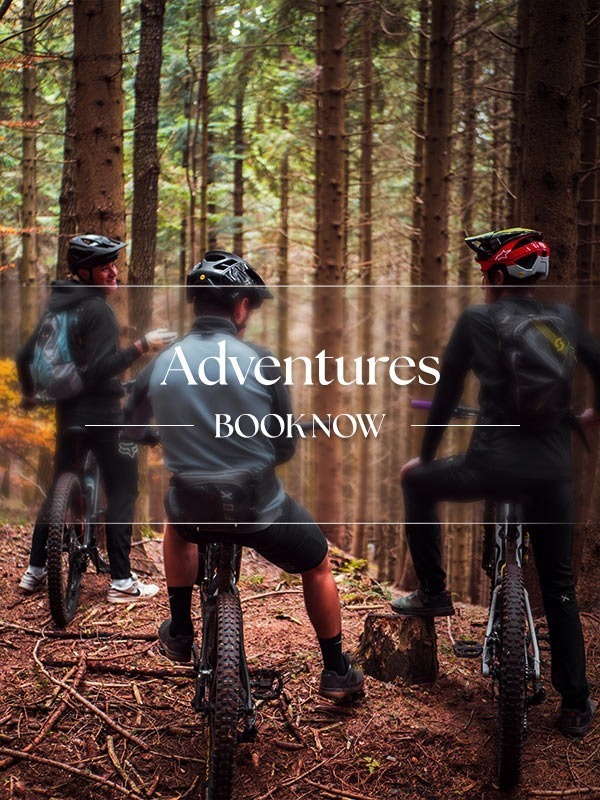 Mountain Biking