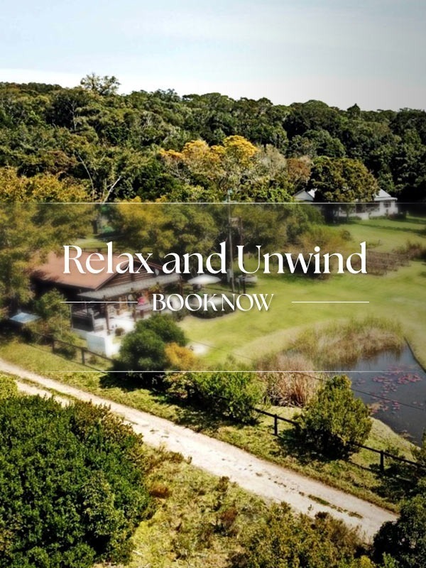 Relax